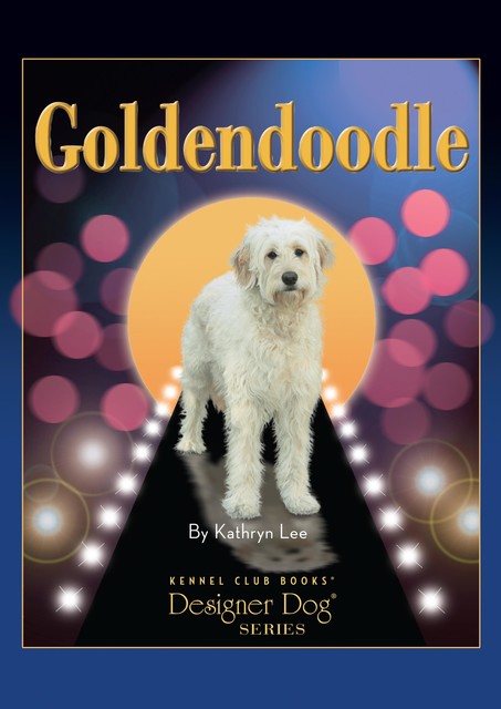 Goldendoodle, Kathryn Lee