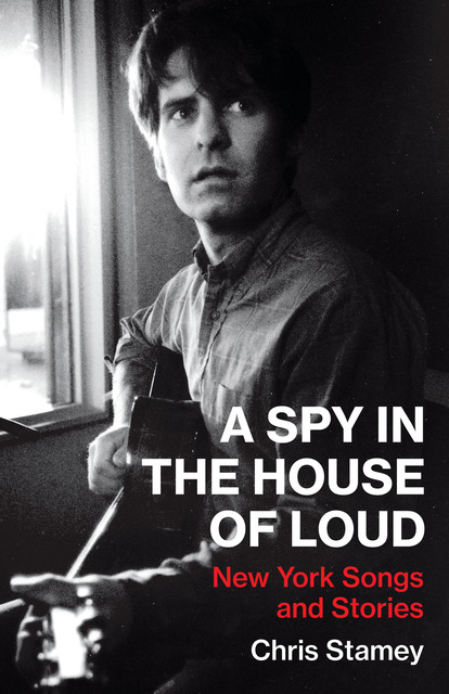A Spy in the House of Loud, Chris Stamey