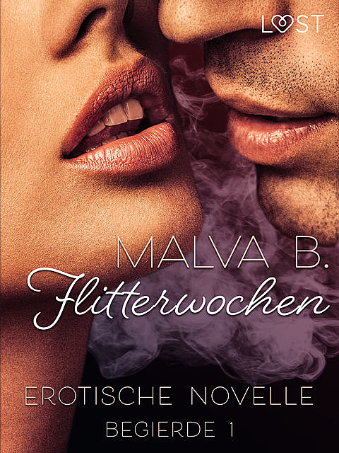 Begierde 1 – Flitterwochen: Erotische Novelle, Malva B