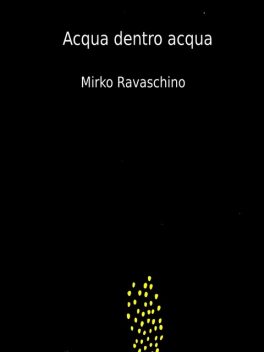 Acqua dentro acqua, Mirko Ravaschino