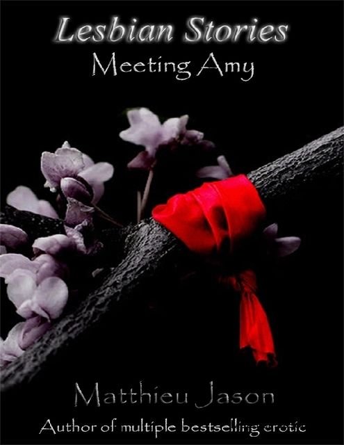 Lesbian Stories – Meeting Amy, Matthieu Jason