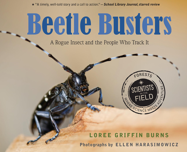 Beetle Busters, Loree Griffin Burns