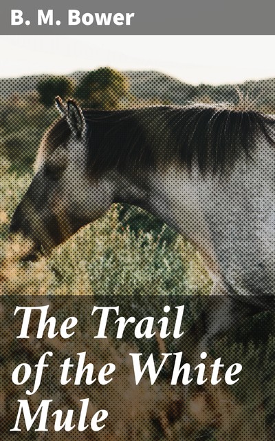 The Trail of the White Mule, B.M.Bower