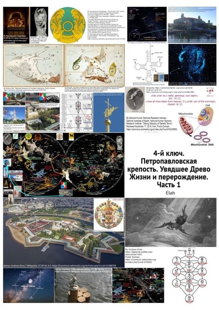 4-й ключ. Петропавловская крепость. Увядшее Древо Жизни и перерождение. Часть 1, Elah