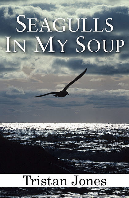 Seagulls in My Soup, Tristan Jones