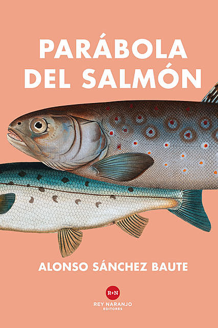 Parábola del salmón, Alonso Sánchez Baute