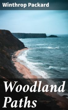 Woodland Paths, Winthrop Packard