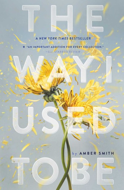 The Way I Used to Be, Amber Smith