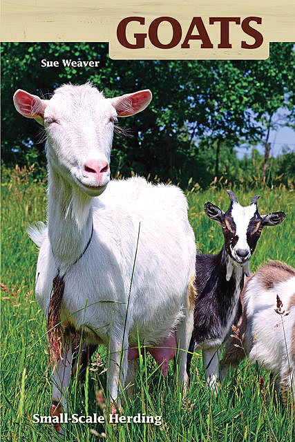 Goats, Sue Weaver