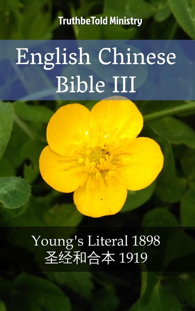 English Chinese Bible III, Joern Andre Halseth