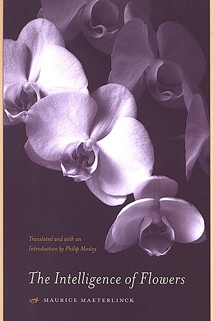Intelligence of Flowers, The, Maurice Maeterlinck