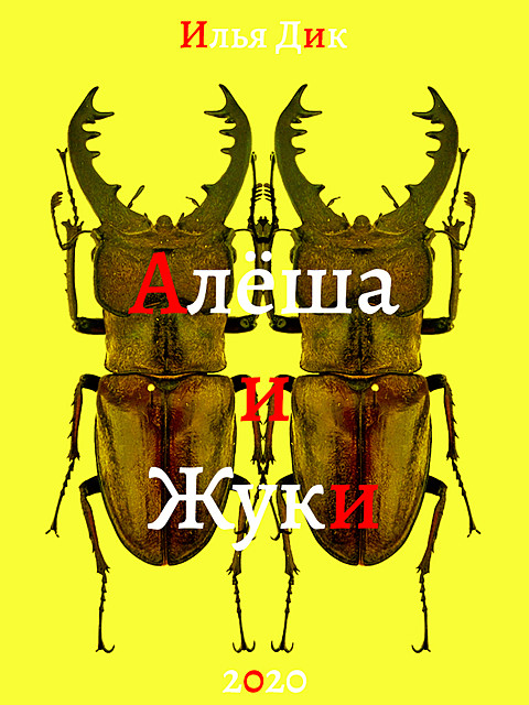 Алеша и жуки, Илья Дик
