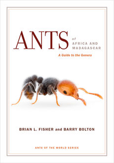 Ants of Africa and Madagascar, Brian Fisher, Barry Bolton