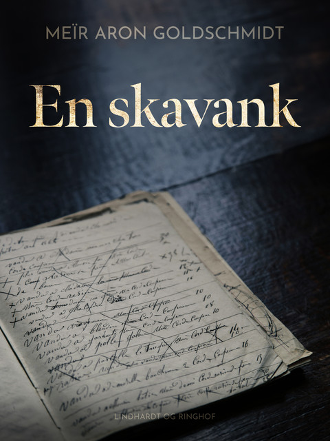 En skavank, Meïr Aron Goldschmidt