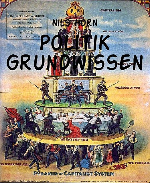 Politik Grundwissen, Nils Horn