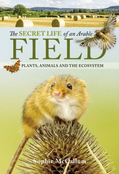 The Secret Life of an Arable Field, Sophie McCallum