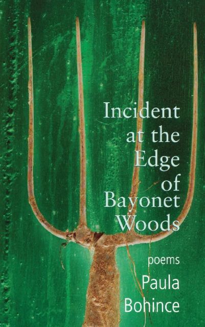 Incident at the Edge of Bayonet Woods, Paula Bohince
