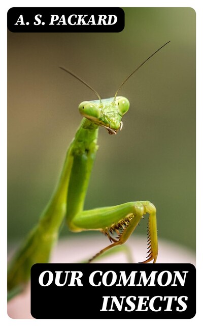 Our Common Insects, A.S.Packard