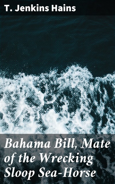 Bahama Bill, Mate of the Wrecking Sloop Sea-Horse, T.Jenkins Hains