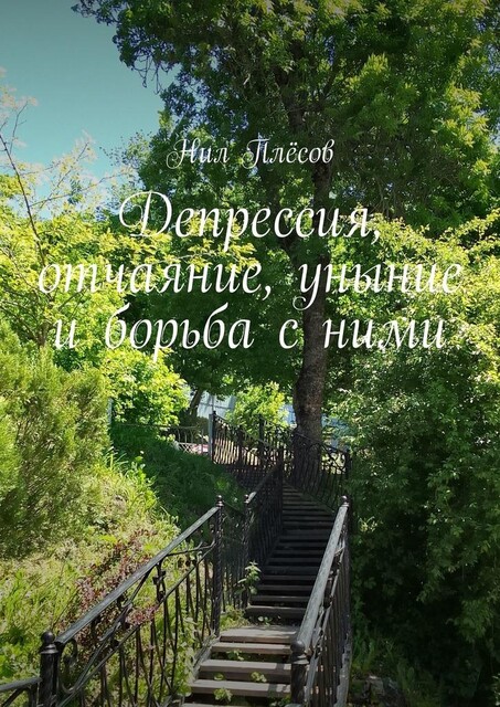 Депрессия, отчаяние, уныние и борьба с ними, Нил Плёсов