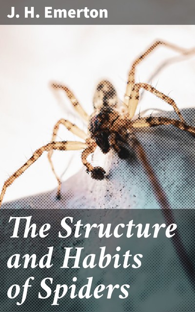 The Structure and Habits of Spiders, J.H. Emerton
