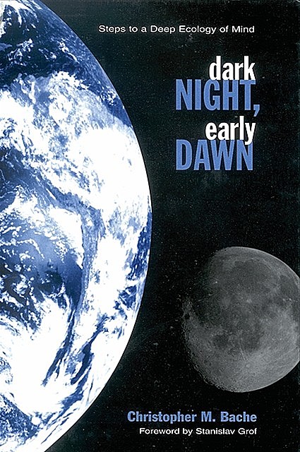 Dark Night, Early Dawn, Christopher M. Bache