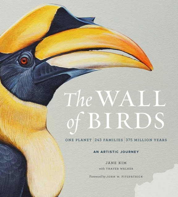 The Wall of Birds, Jane Kim, Thayer Walker