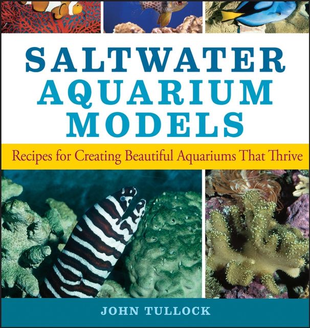 Saltwater Aquarium Models, John H.Tullock