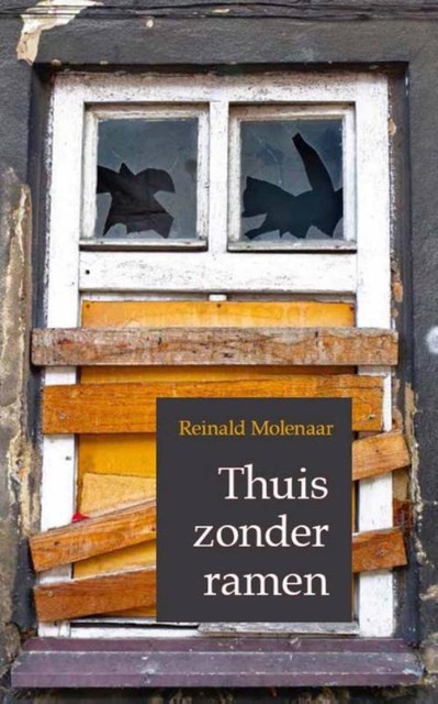 Thuis zonder ramen, Reinald Molenaar