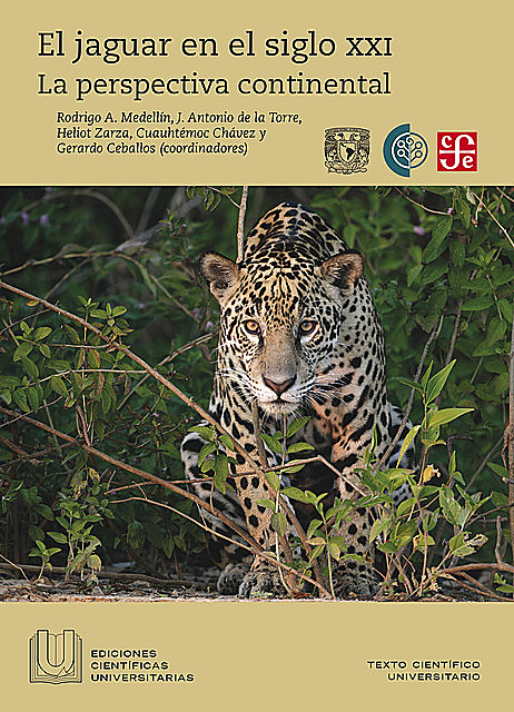 El jaguar en el siglo XXI, Cuauhtémoc Chávez, Gerardo Ceballos, Heliot Zarza, J. Antonio de la Torre, Rodrigo A. Medellín
