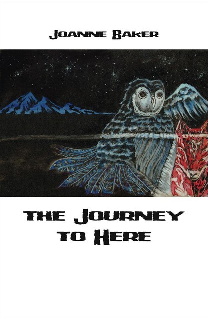Journey to Here, Jo Baker