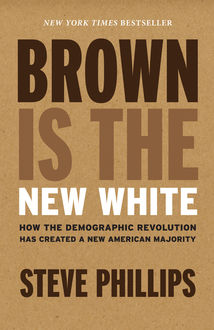 Brown Is the New White, Steve Phillips