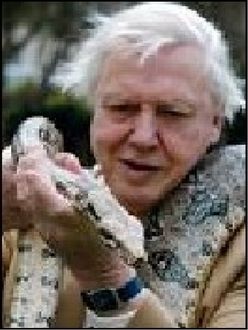 La Vida A Prueba, David Attenborough