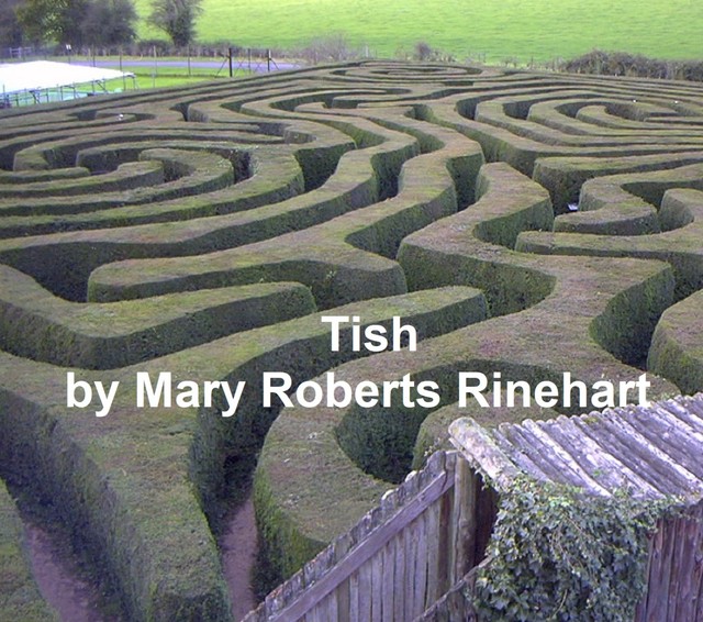 Tish: The Chronicle of Her Escapades and Excursions, Mary Roberts Rinehart