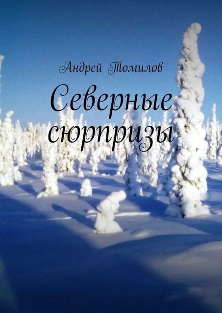 Северные сюрпризы, Андрей Томилов