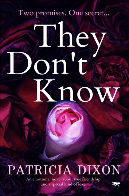 They Don't Know, Patricia Dixon