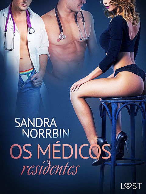 Os médicos residentes – Conto erótico, Sandra Norrbin