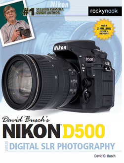 David Busch’s Nikon D500 Guide to Digital SLR Photography, David D.Busch