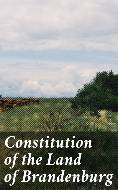Constitution of the Land of Brandenburg, Government of Brandenburg