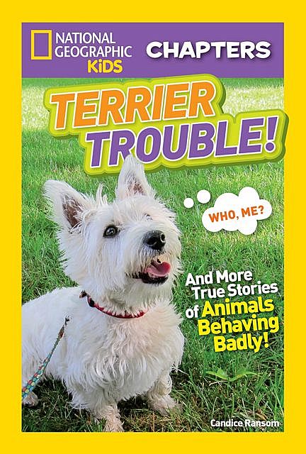 National Geographic Kids Chapters: Terrier Trouble, National Geographic Kids, Candice Ransom