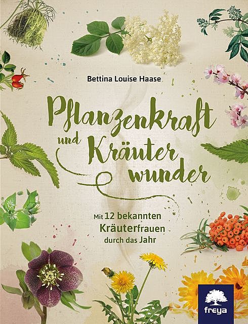 Pflanzenkraft und Kräuterwunder, Bettina Louise Haase