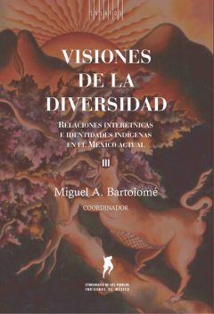 Visiones de la diversidad, Miguel Bartolomé