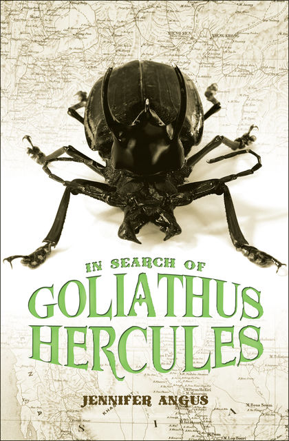 In Search of Goliathus Hercules, Jennifer Angus
