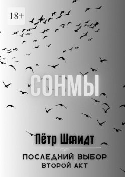 Сонмы. Последний выбор — Второй акт, Пётр Шмидт