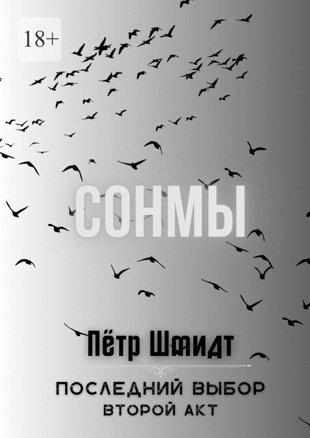 Сонмы. Последний выбор — Второй акт, Пётр Шмидт