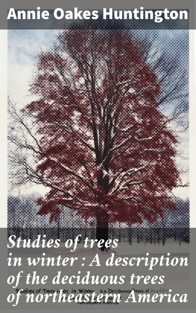 Studies of trees in winter : A description of the deciduous trees of northeastern America, Annie Oakes Huntington