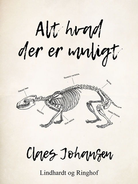 Alt hvad der er muligt, Claes Johansen