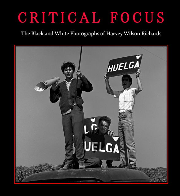 Critical Focus, Paul Richards