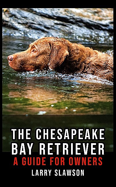 The Chesapeake Bay Retriever, Larry Slawson