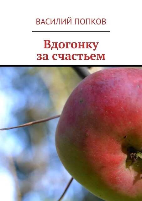 Вдогонку за счастьем, Василий Попков